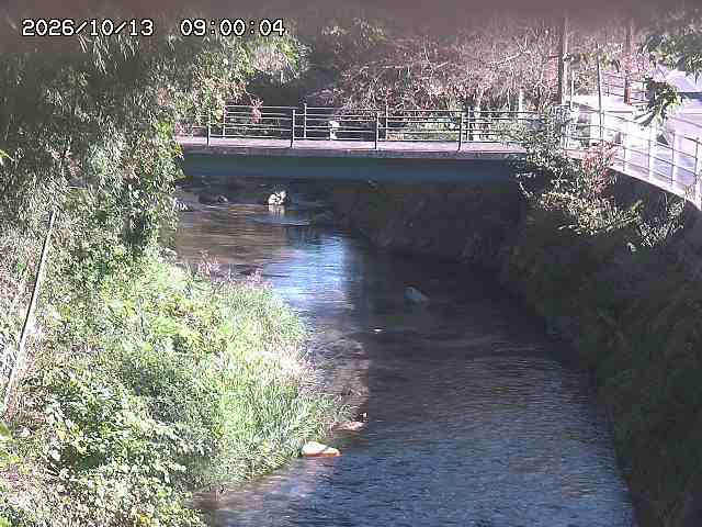 土師川３2026/10/13 14:30:00