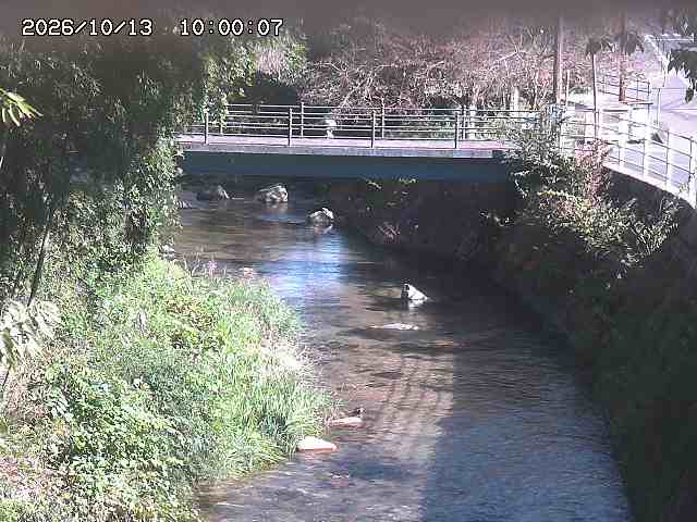 土師川３2026/10/13 14:30:00