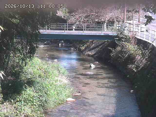 土師川３2026/10/13 14:30:00