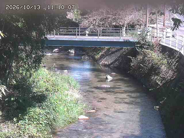 土師川３2026/10/13 14:30:00