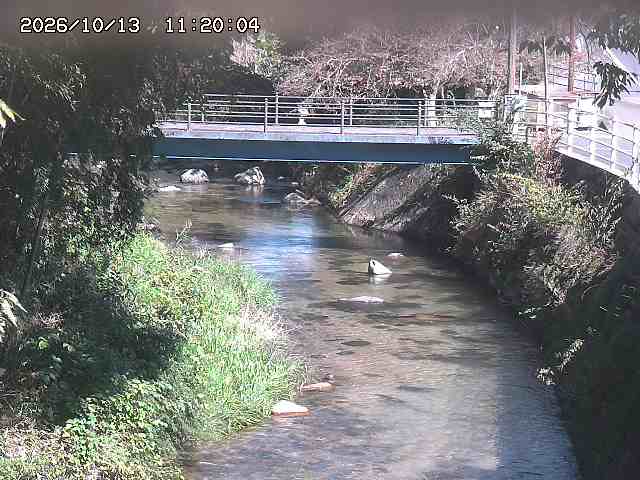 土師川３2026/10/13 14:30:00