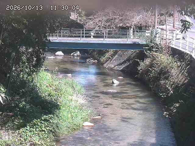 土師川３2026/10/13 14:30:00