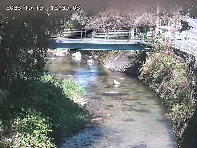 土師川３2026/10/13 14:30:00