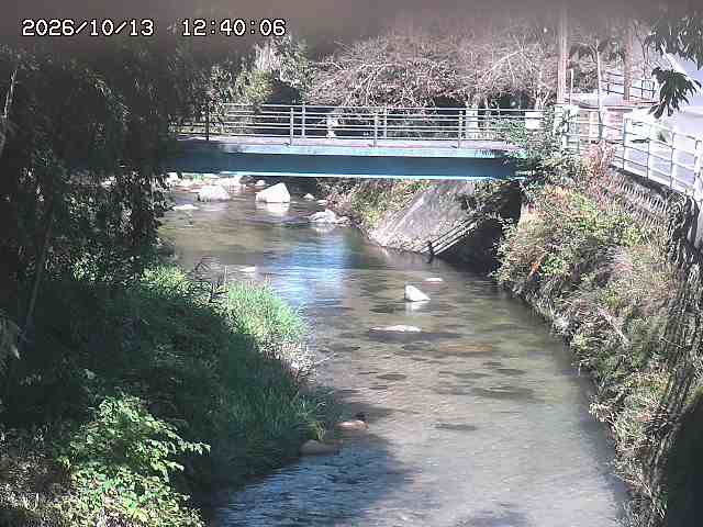 土師川３2026/10/13 14:30:00