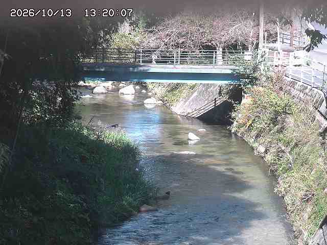 土師川３2026/10/13 14:30:00