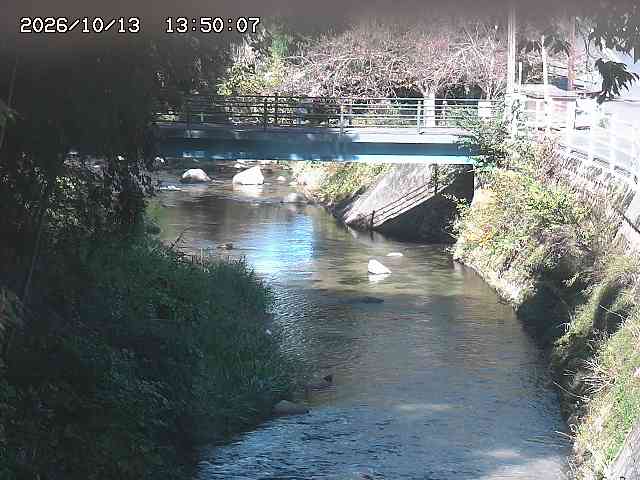 土師川３2026/10/13 14:30:00