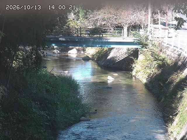 土師川３2026/10/13 14:30:00