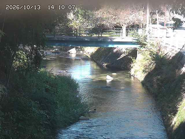 土師川３2026/10/13 14:30:00