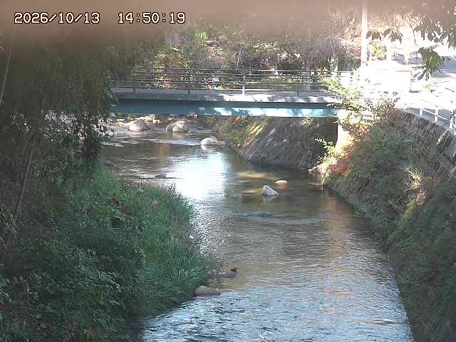 土師川３2026/10/13 14:30:00
