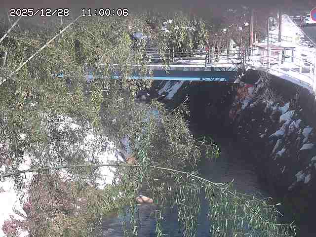 土師川３2025/12/29 9:50:00