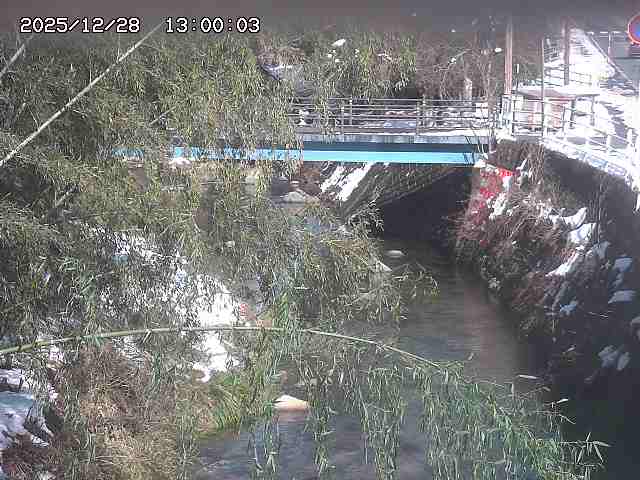 土師川３2025/12/29 9:50:00