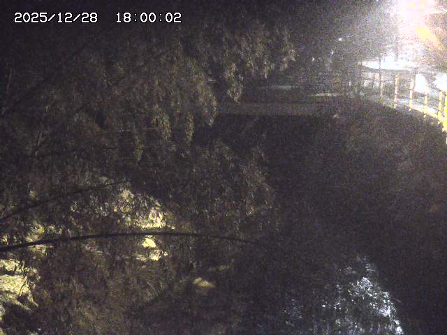 土師川３2025/12/29 9:50:00