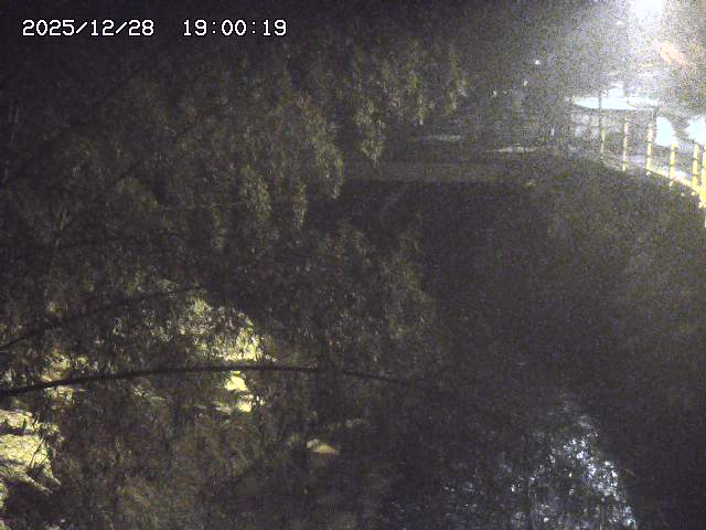 土師川３2025/12/29 9:50:00