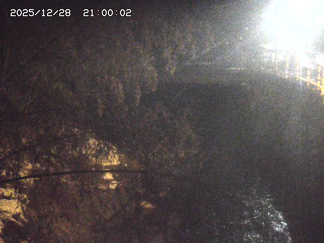 土師川３2025/12/29 9:50:00