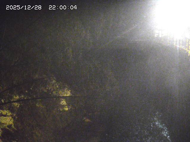 土師川３2025/12/29 9:50:00