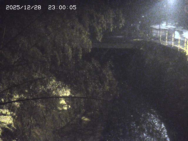 土師川３2025/12/29 9:50:00