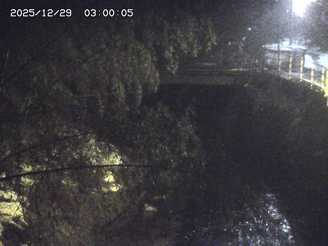 土師川３2025/12/29 9:50:00