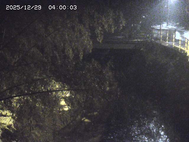 土師川３2025/12/29 9:50:00