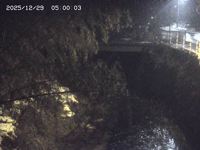 土師川３2025/12/29 9:50:00