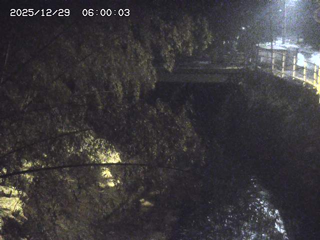 土師川３2025/12/29 9:50:00