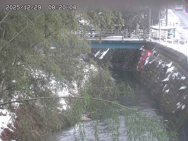 土師川３2025/12/29 9:50:00