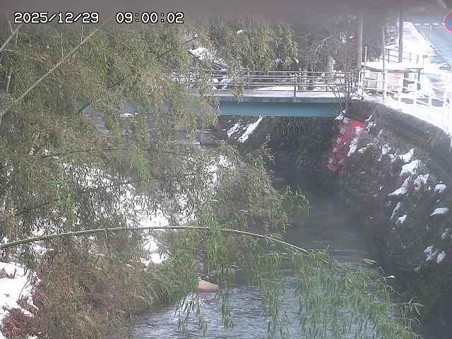 土師川３2025/12/29 9:50:00