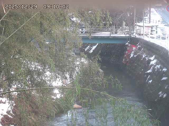 土師川３2025/12/29 9:50:00