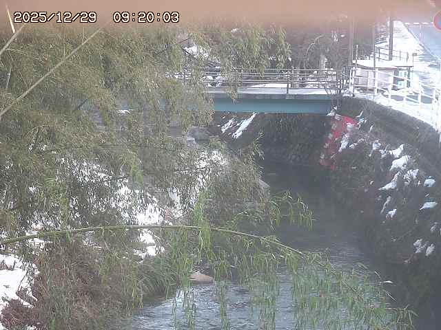 土師川３2025/12/29 9:50:00