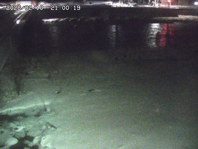 日野川６2026/02/11 1:10:00