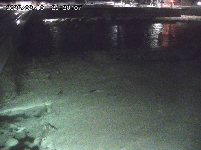 日野川６2026/02/11 1:10:00