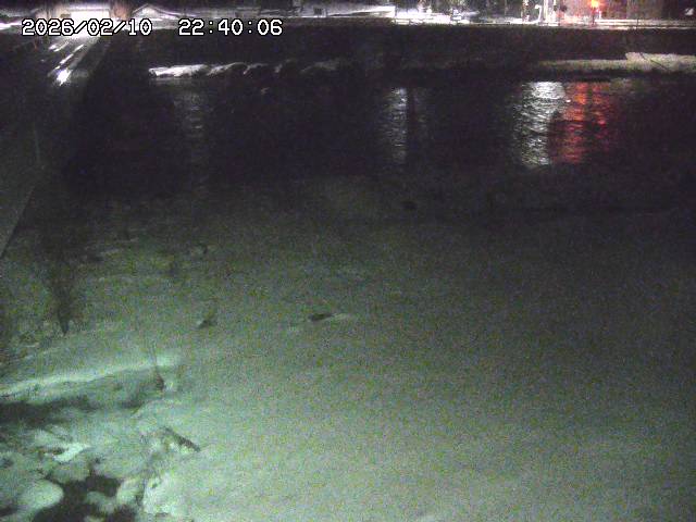 日野川６2026/02/11 1:10:00