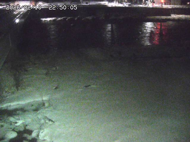 日野川６2026/02/11 1:10:00