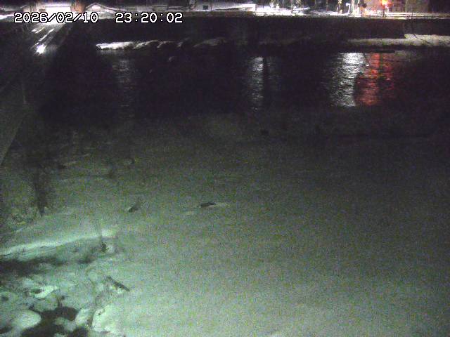 日野川６2026/02/11 1:10:00