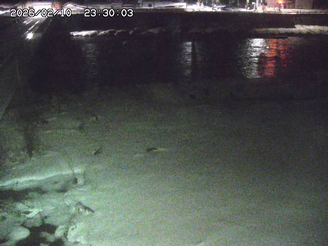 日野川６2026/02/11 1:10:00