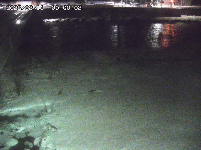 日野川６2026/02/11 1:10:00