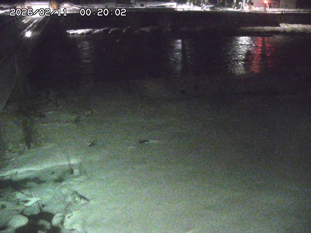 日野川６2026/02/11 1:10:00