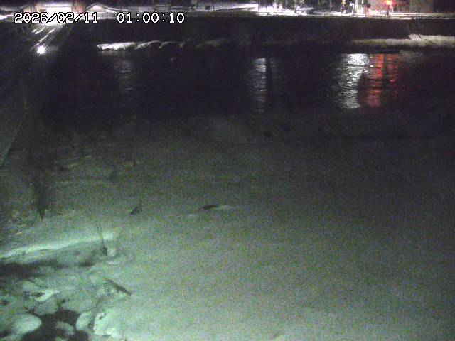 日野川６2026/02/11 1:10:00