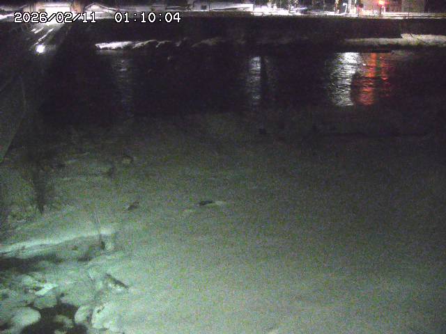 日野川６2026/02/11 1:10:00