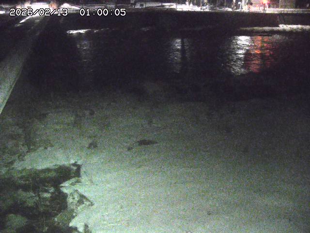 日野川６2026/02/14 1:30:00