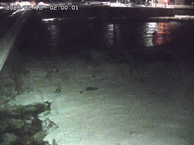 日野川６2026/02/14 1:30:00