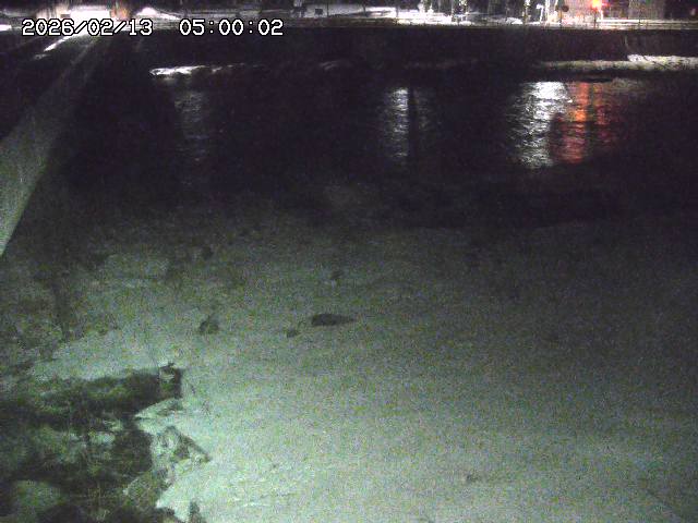 日野川６2026/02/14 1:30:00