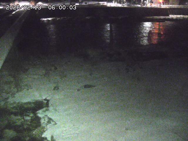 日野川６2026/02/14 1:30:00