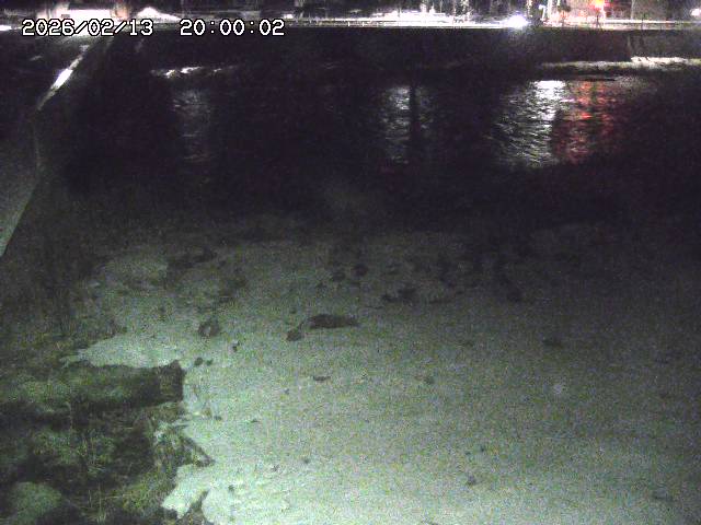 日野川６2026/02/14 1:30:00