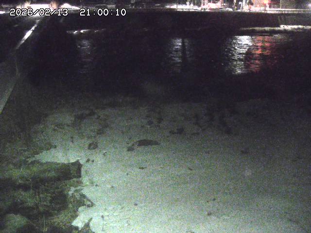 日野川６2026/02/14 1:30:00