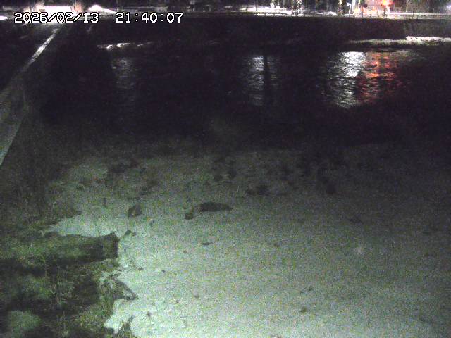 日野川６2026/02/14 1:30:00