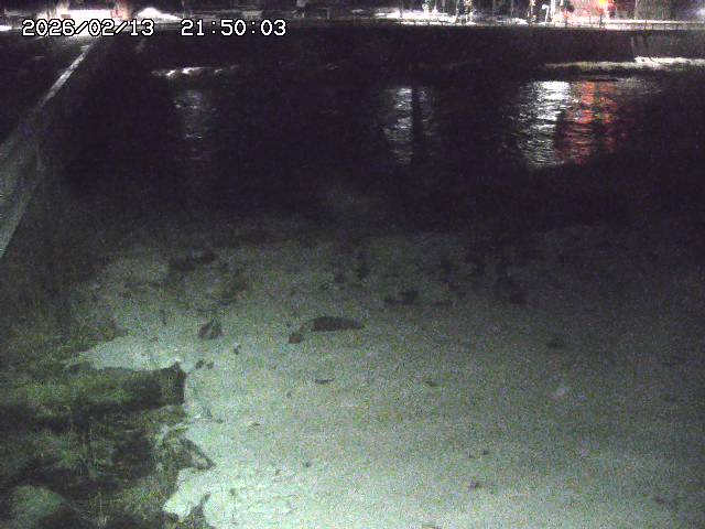 日野川６2026/02/14 1:30:00