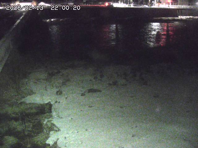 日野川６2026/02/14 1:30:00