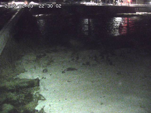 日野川６2026/02/14 1:30:00