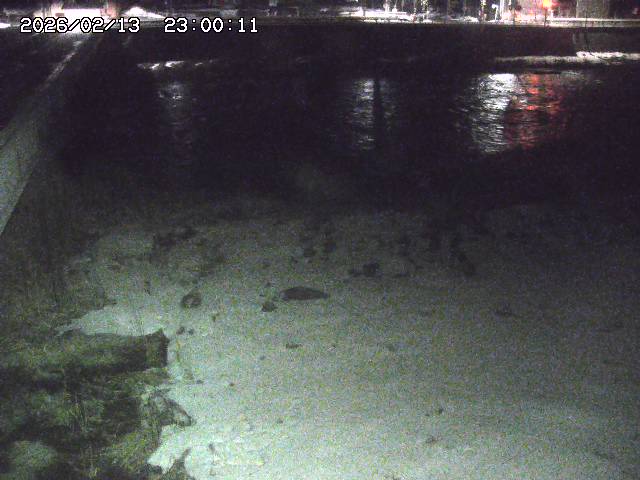 日野川６2026/02/14 1:30:00