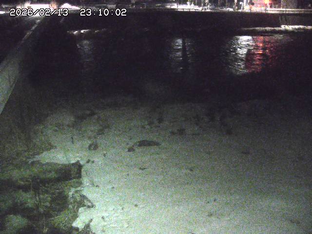 日野川６2026/02/14 1:30:00